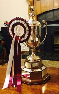Loran Wins NZPCA Eventing Champs!
