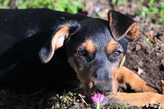 Spring 2014 busy season ahead