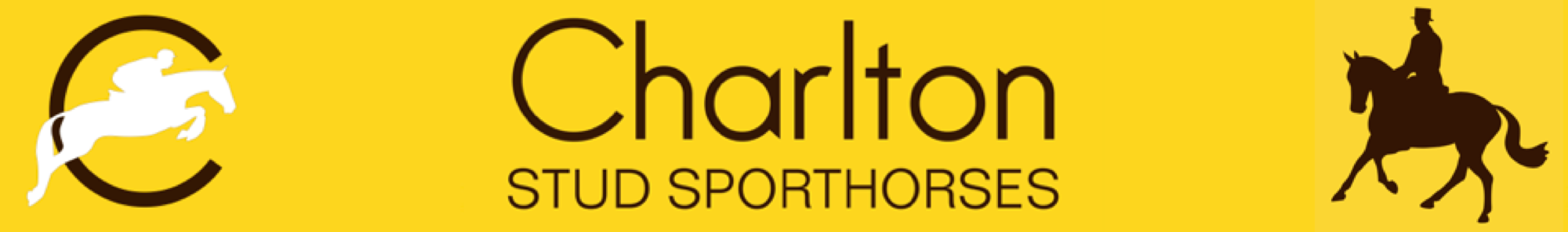 Charlton Stud Sporthorses