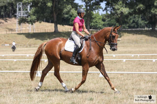 Charlton Gimmick